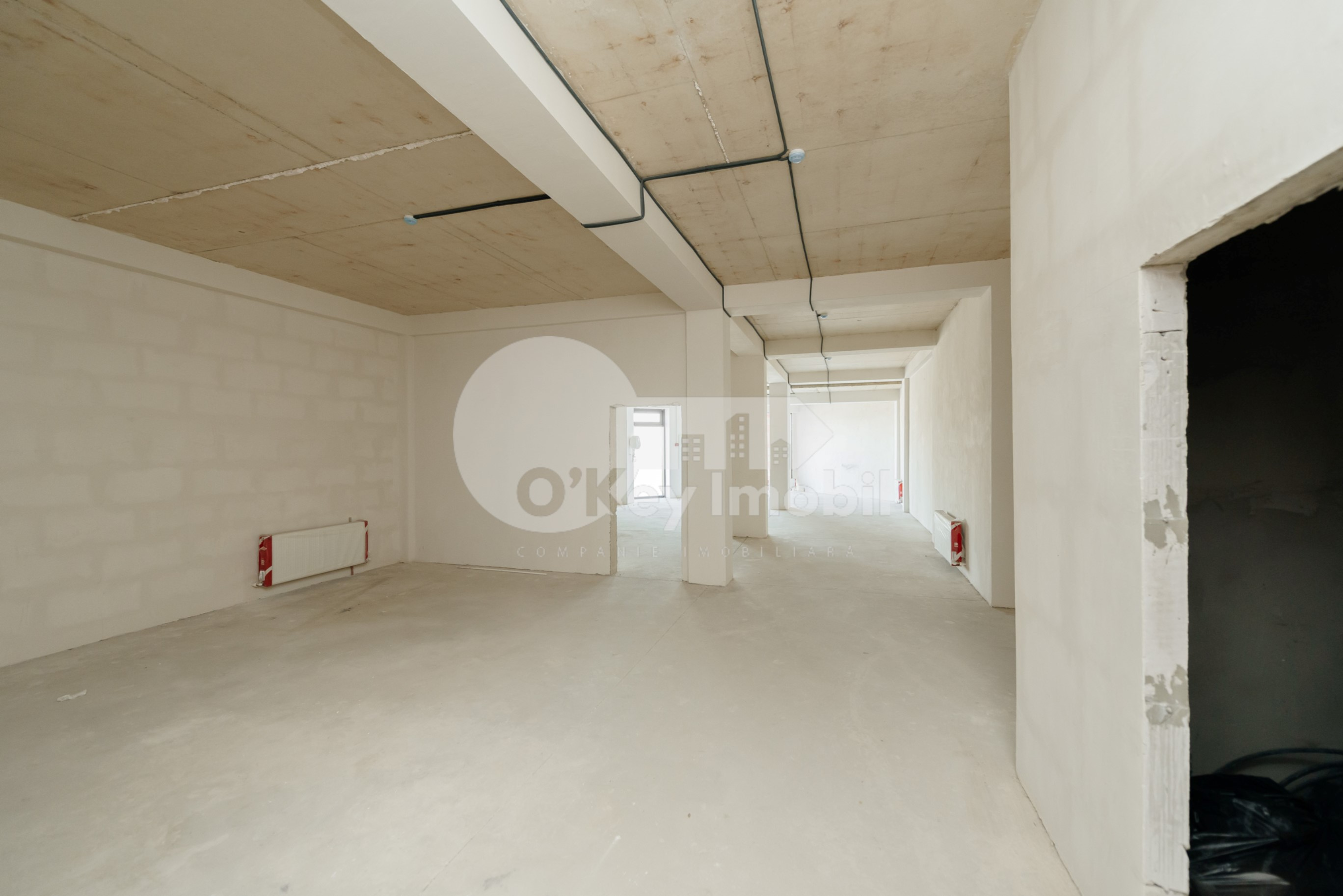 Spațiu comercial, Botanica, DECEBAL