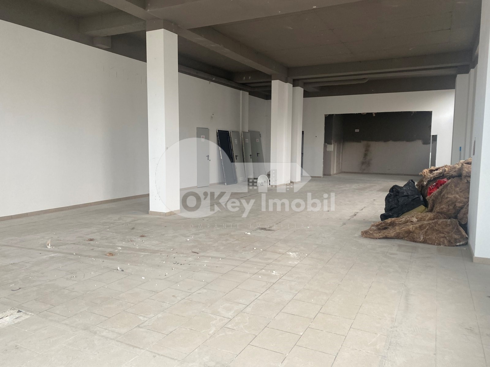 Spațiu comercial, Centru, VASILE ALECSANDRI