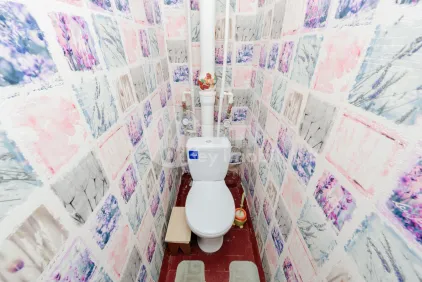 Квартира, Ботаника, НИКОЛАЙ ЗЕЛИНСКИЙ