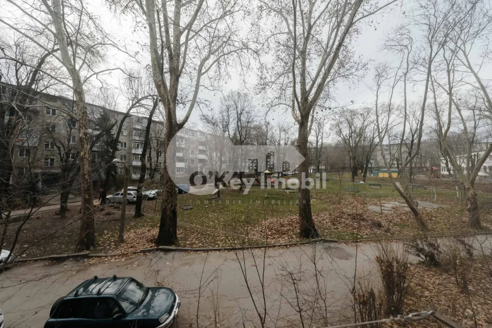 Квартира, Ботаника, НИКОЛАЙ ЗЕЛИНСКИЙ