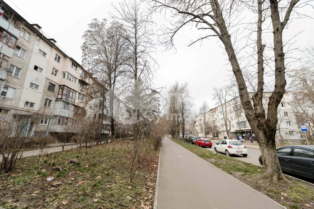 Квартира, Ботаника, НИКОЛАЙ ЗЕЛИНСКИЙ