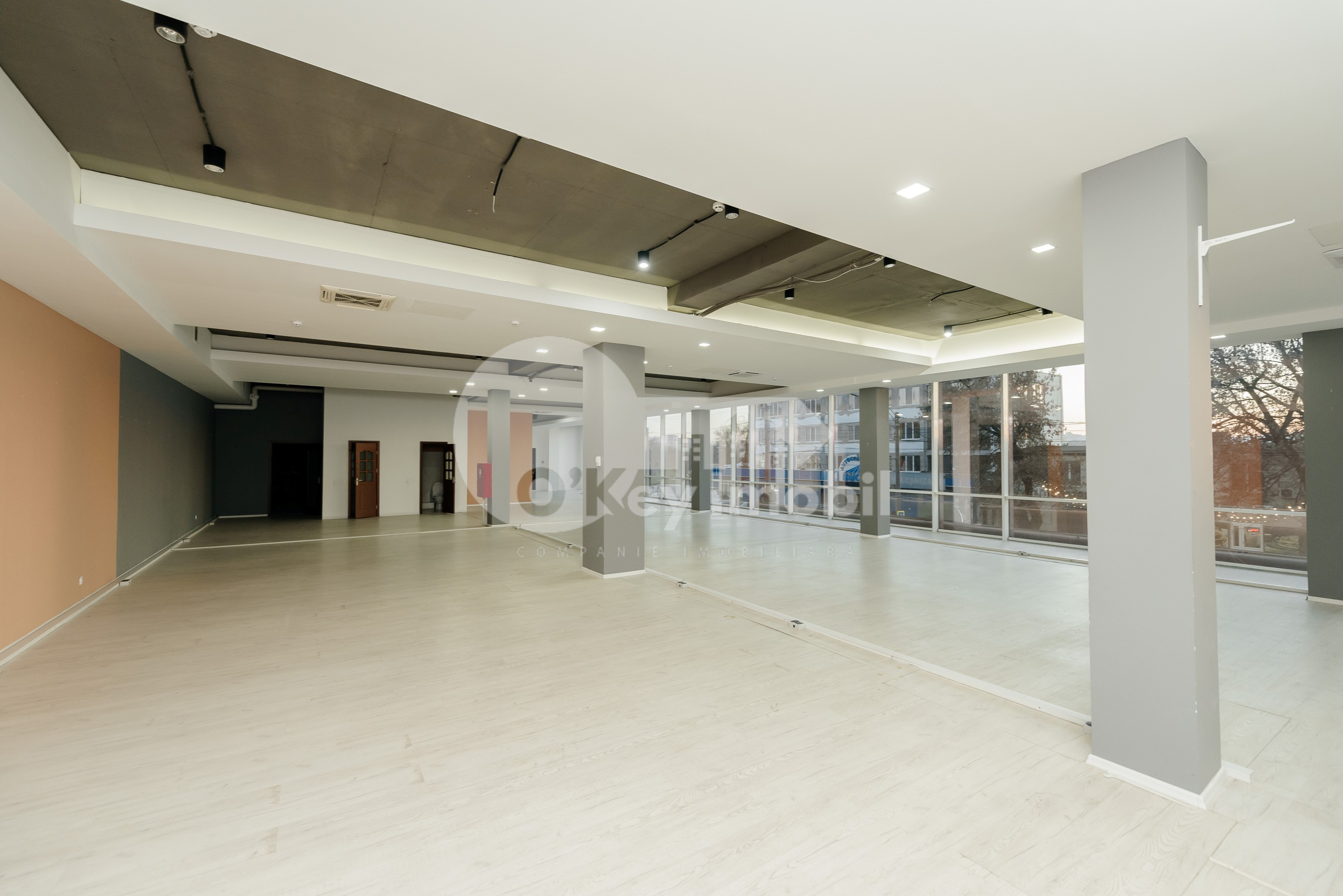 Spațiu comercial, Râșcani, PETRICANI