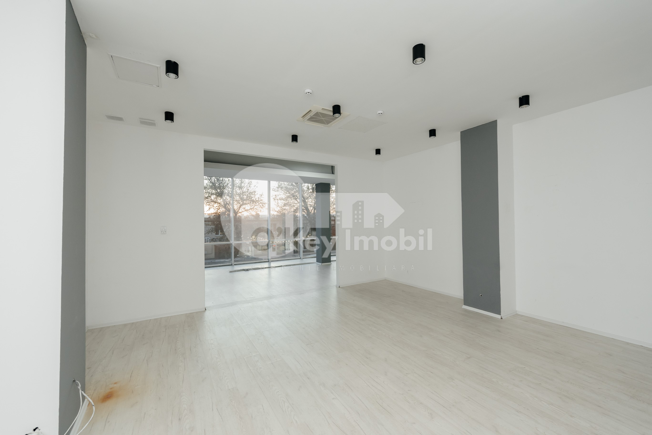 Spațiu comercial, Râșcani, PETRICANI