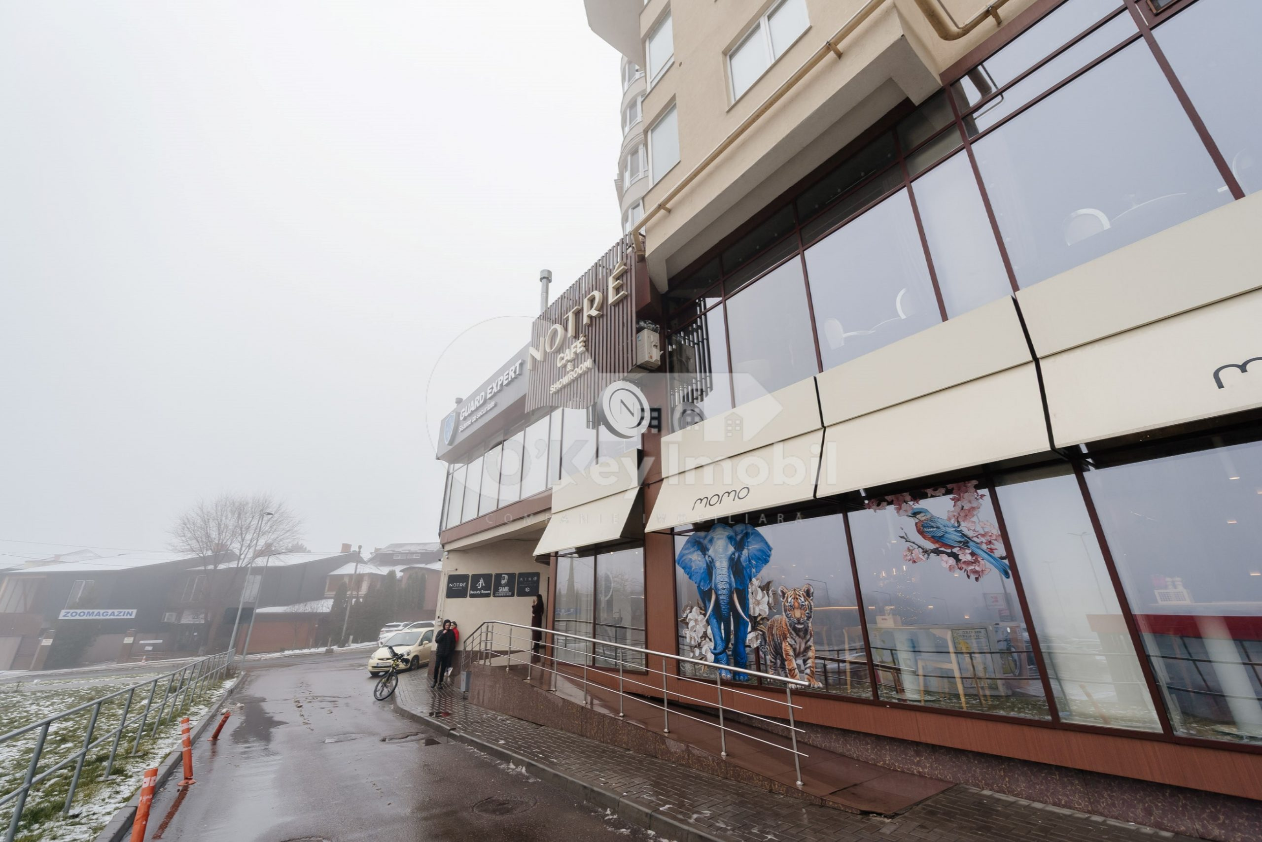 Oficiu, Centru, NICOLAE TESTEMIȚANU