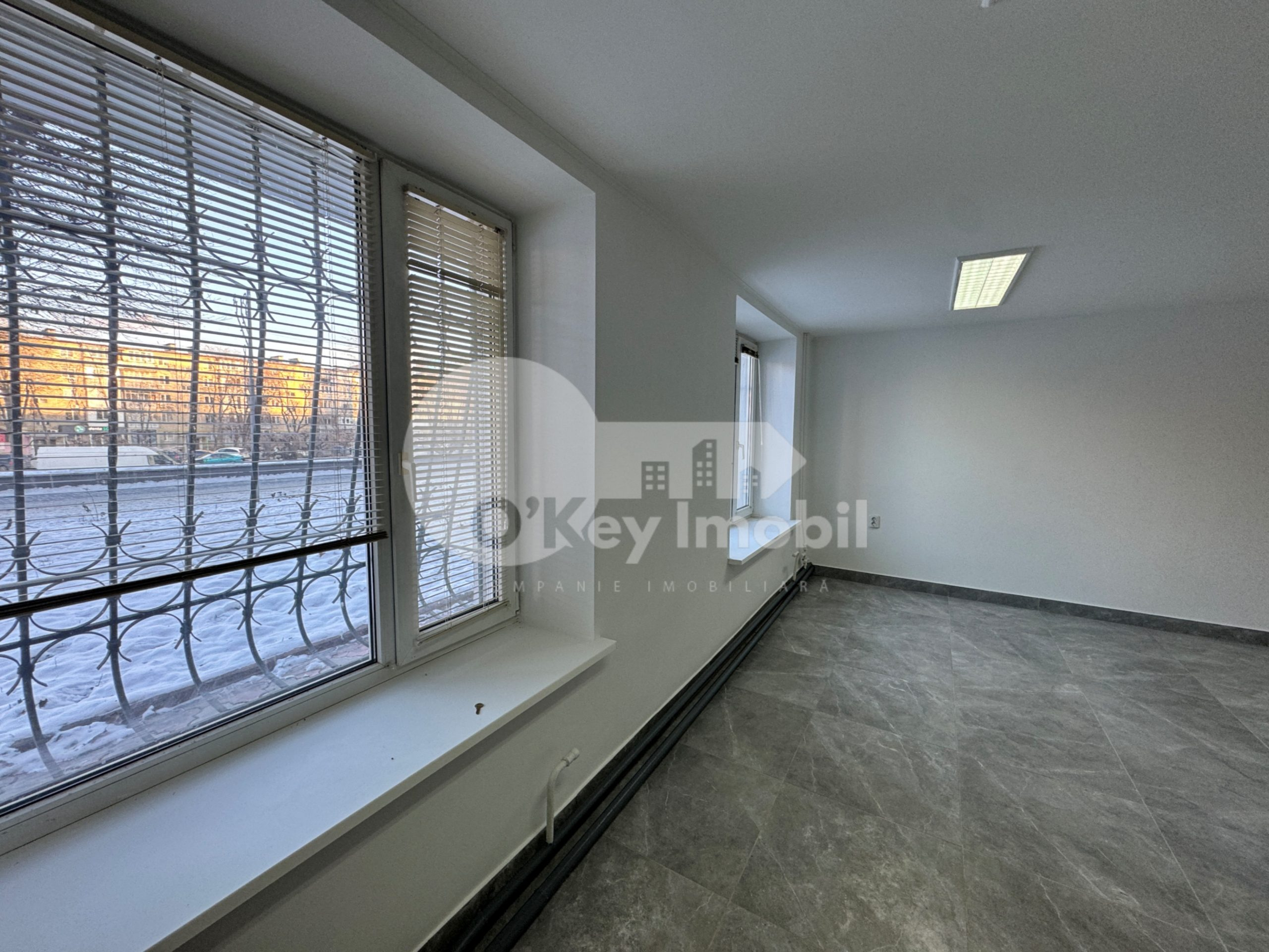 Spațiu comercial, Botanica, DACIA