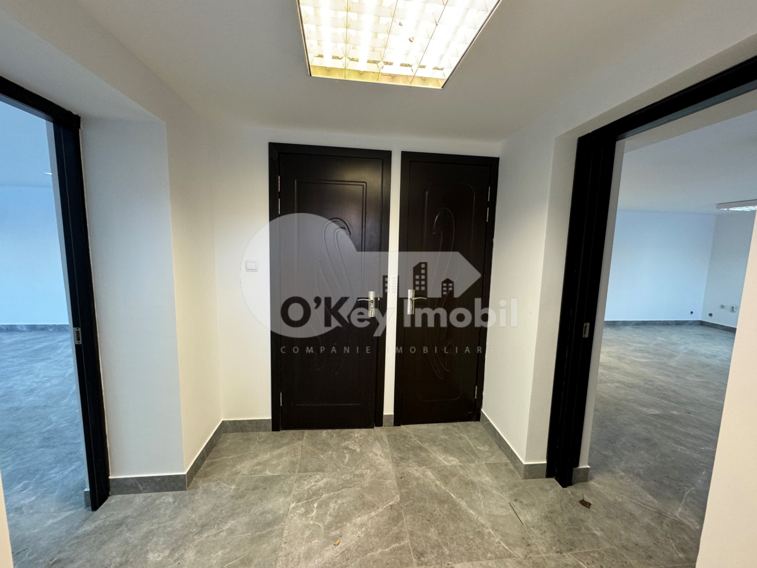 Spațiu comercial, Botanica, DACIA