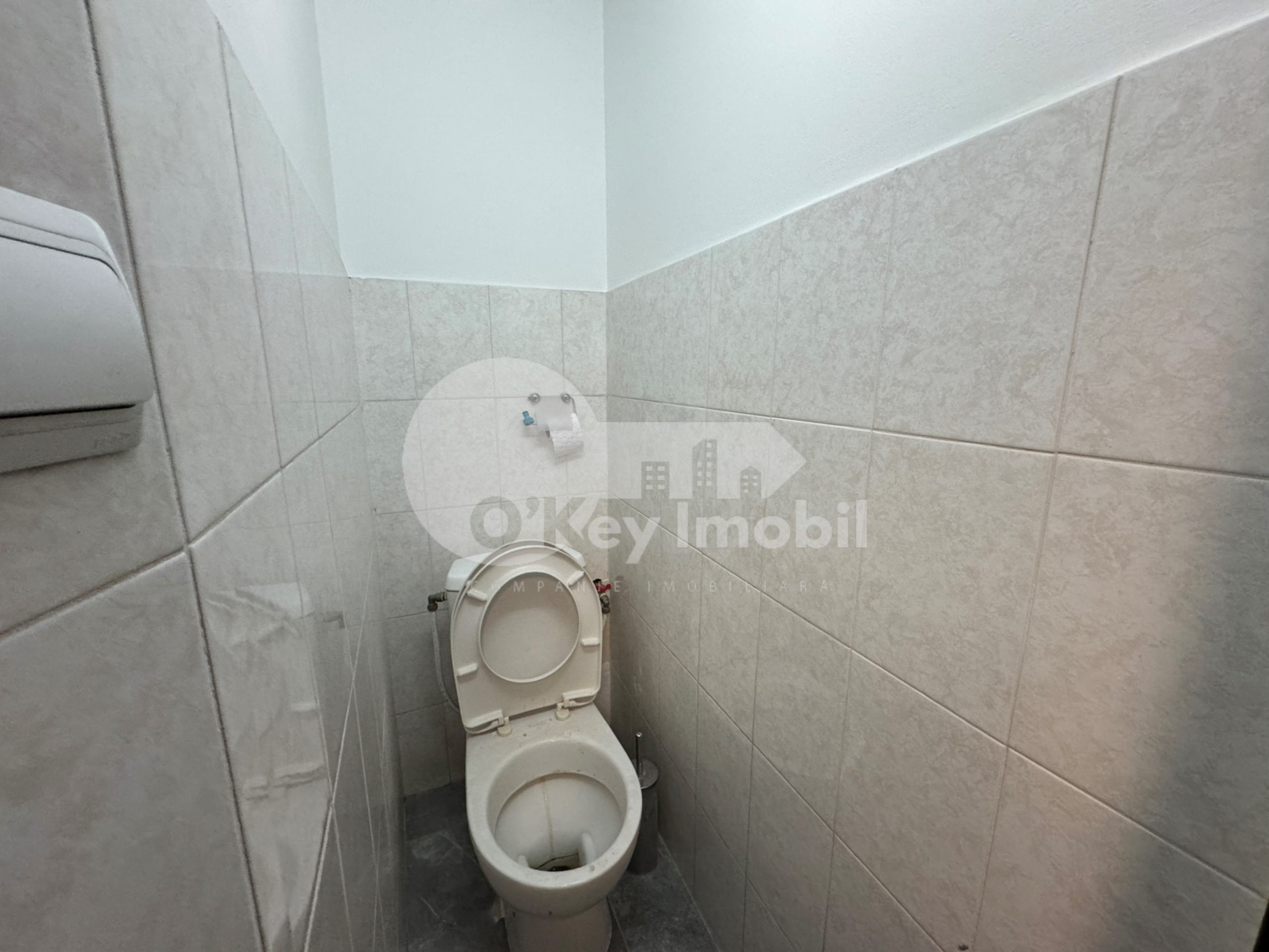 Spațiu comercial, Botanica, DACIA