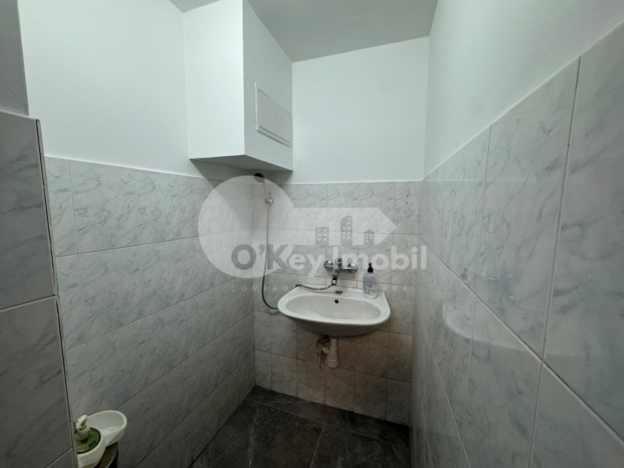 Spațiu comercial, Botanica, DACIA