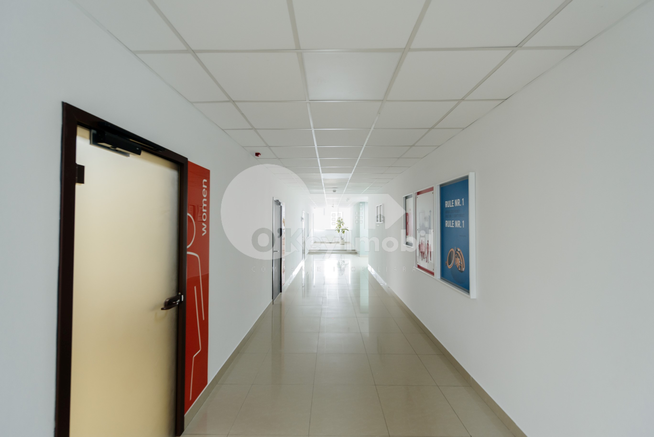 Oficiu, Buiucani, CALEA IEȘILOR