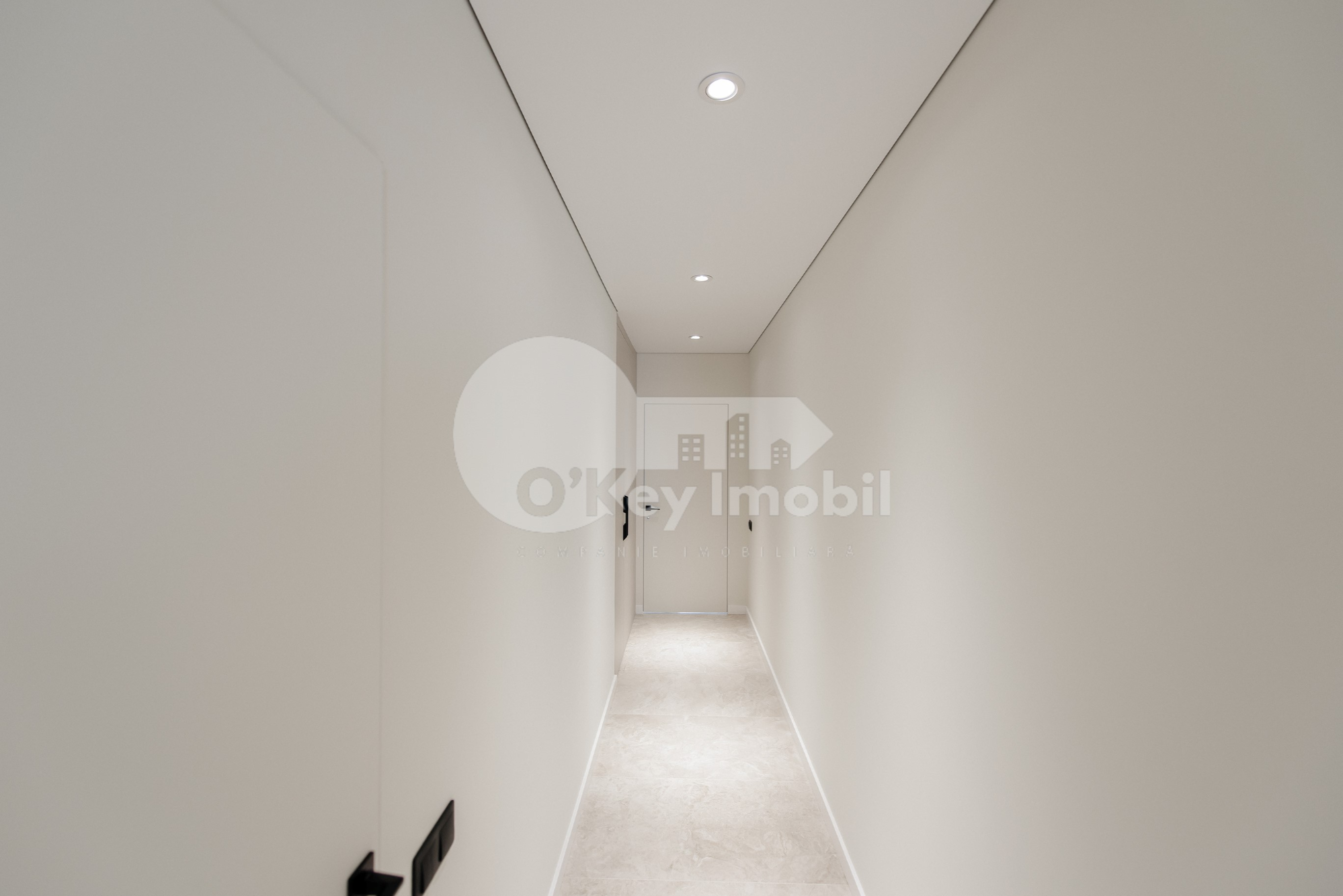 Apartament, Buiucani, ION BUZDUGAN