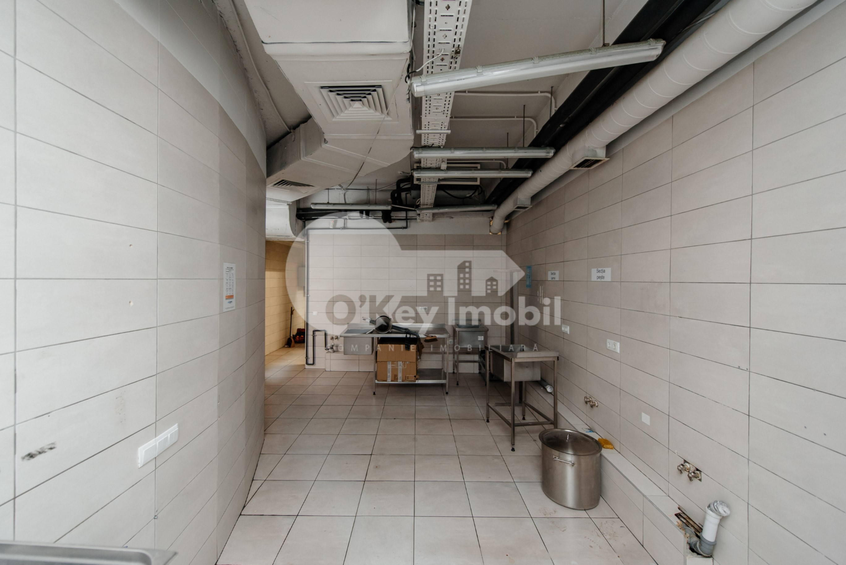 Spațiu comercial, Centru, ALEXANDR PUȘKIN