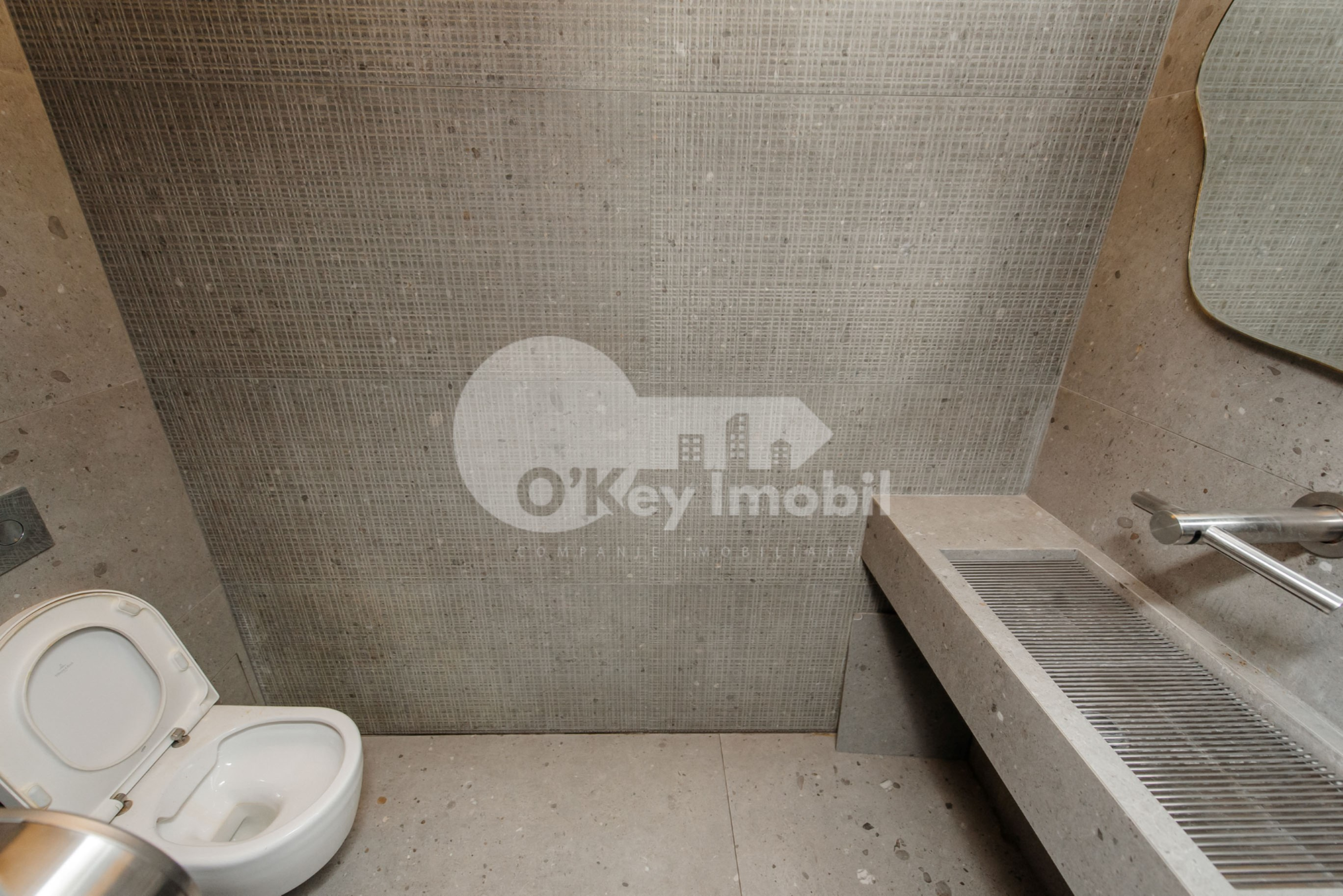 Spațiu comercial, Centru, ALEXANDR PUȘKIN