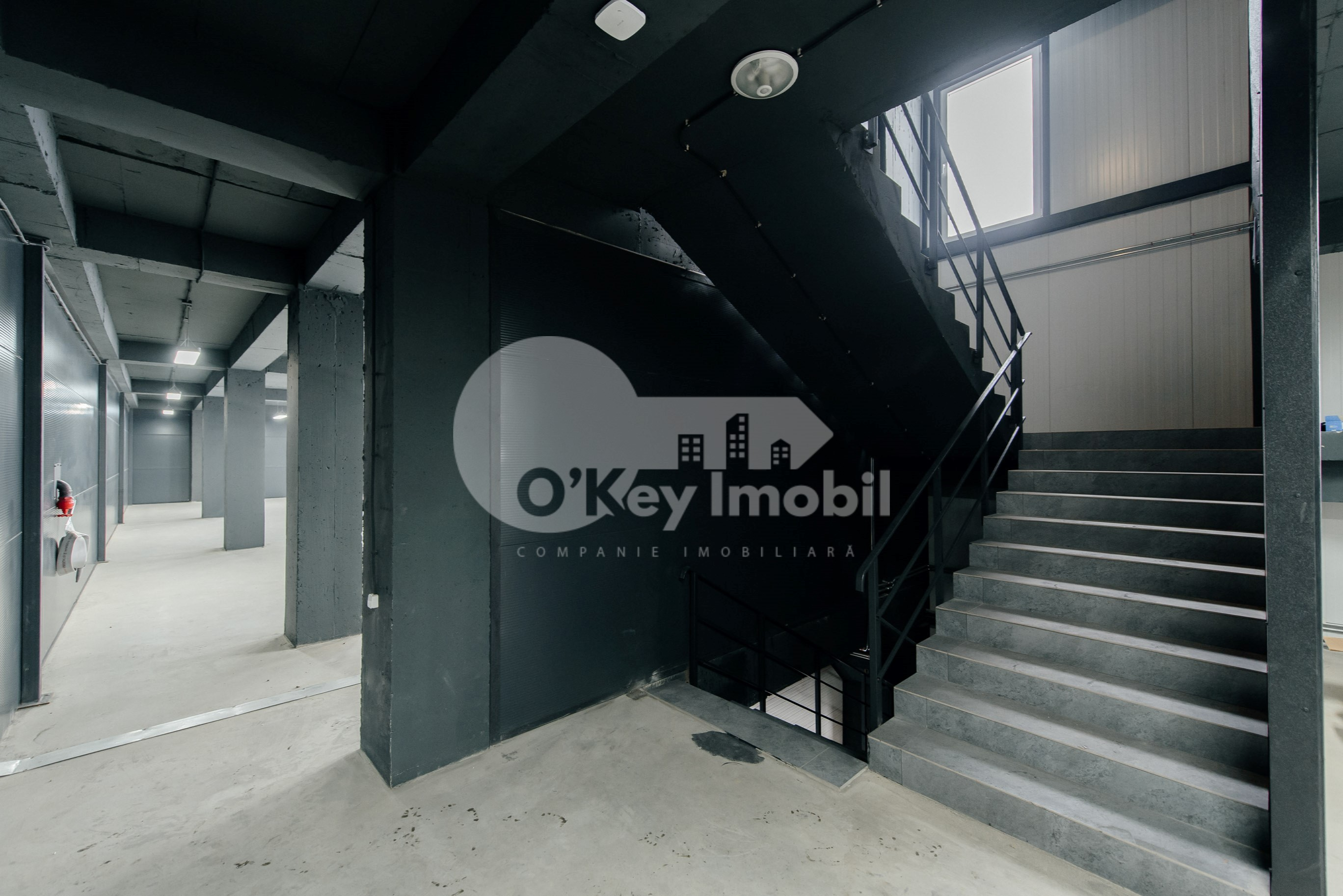 Spațiu comercial, Botanica, DACIA