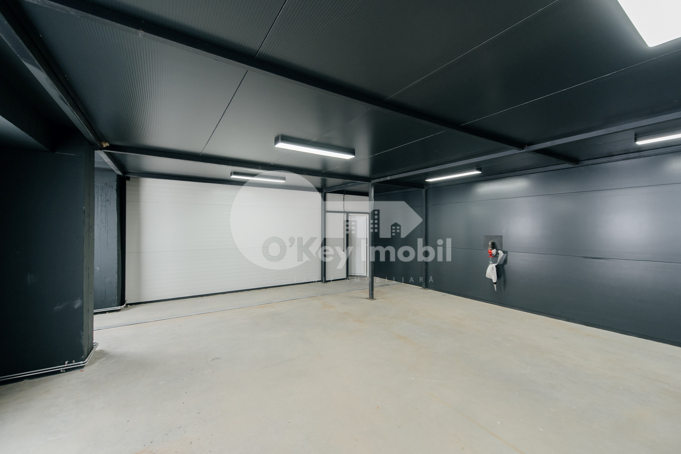 Spațiu comercial, Botanica, DACIA