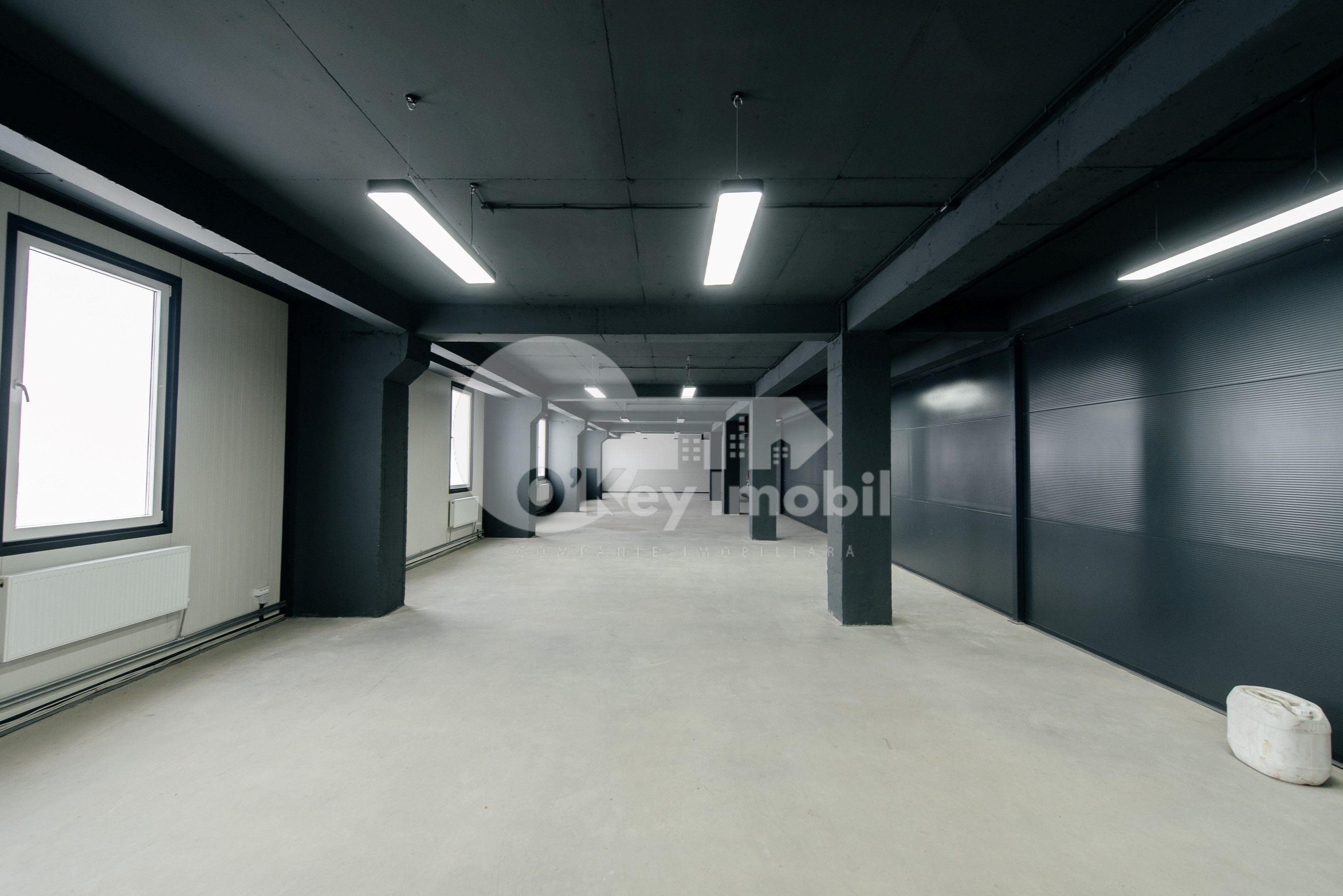 Spațiu comercial, Botanica, DACIA