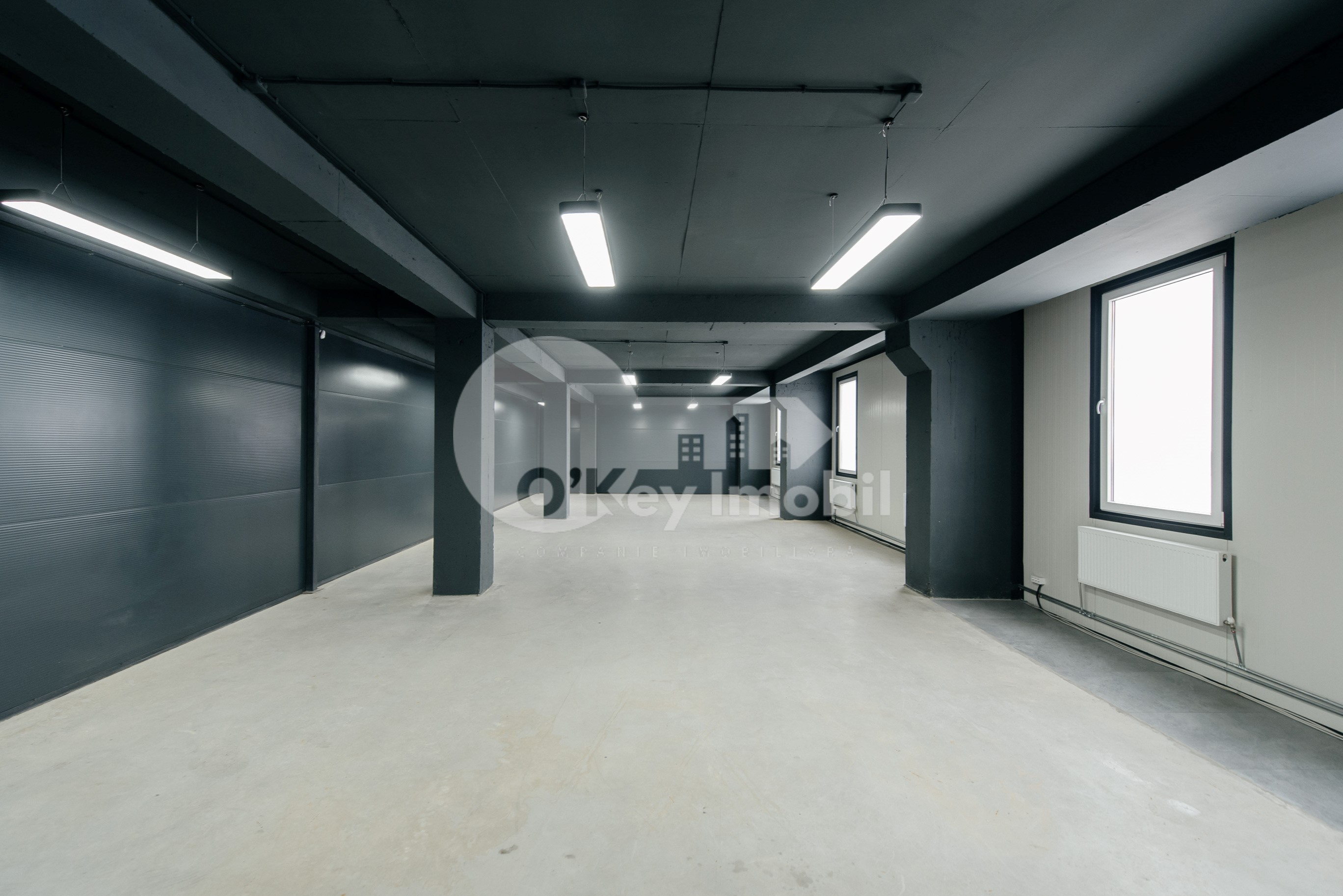 Spațiu comercial, Botanica, DACIA