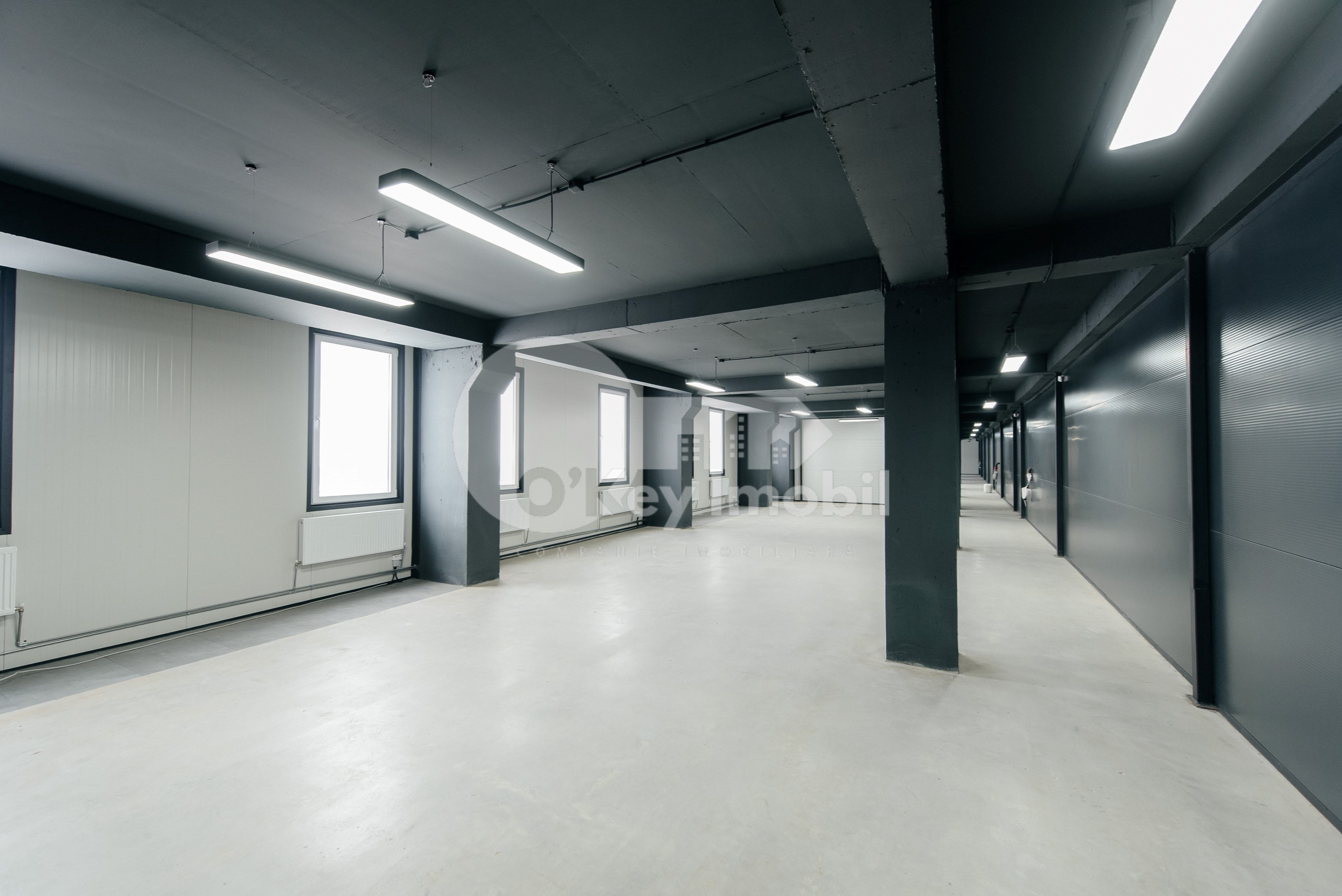 Spațiu comercial, Botanica, DACIA