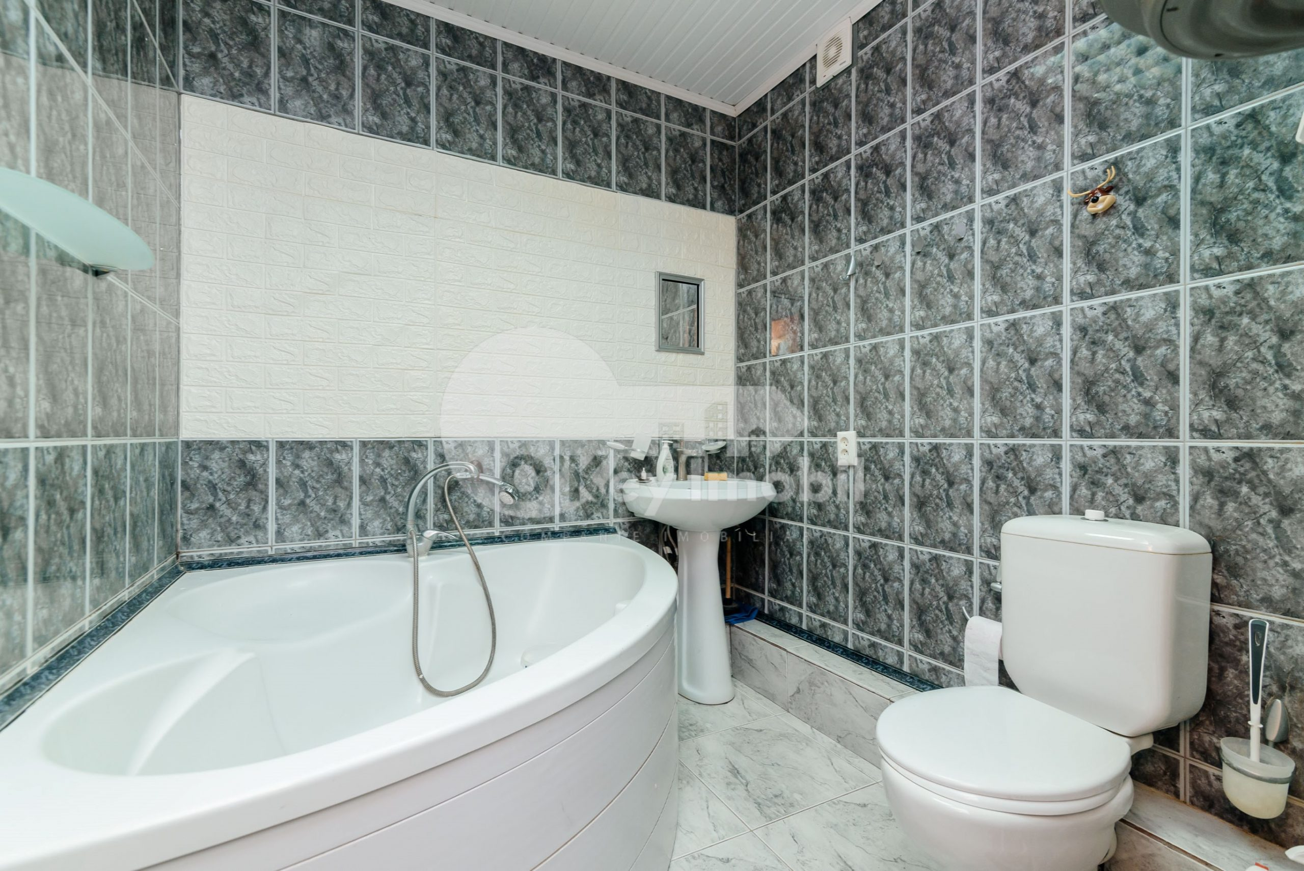 Apartament, Botanica, NIKOLAI ZELINSKI