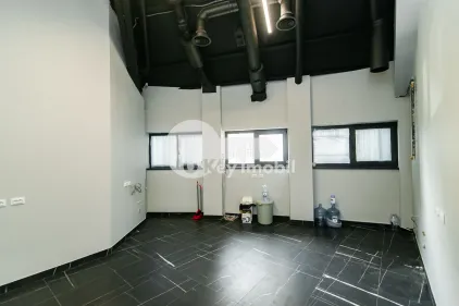 Комм. помещение, Центр, ТЕСТЕМИЦАНУ