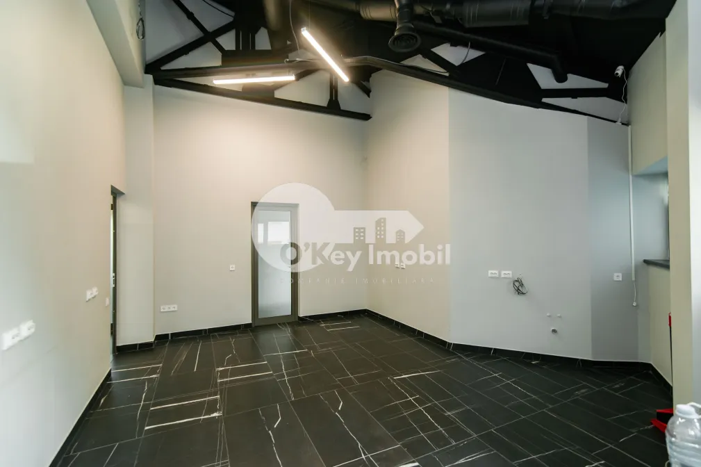 Комм. помещение, Центр, ТЕСТЕМИЦАНУ