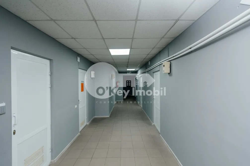 Oficiu, Centru, COLUMNA