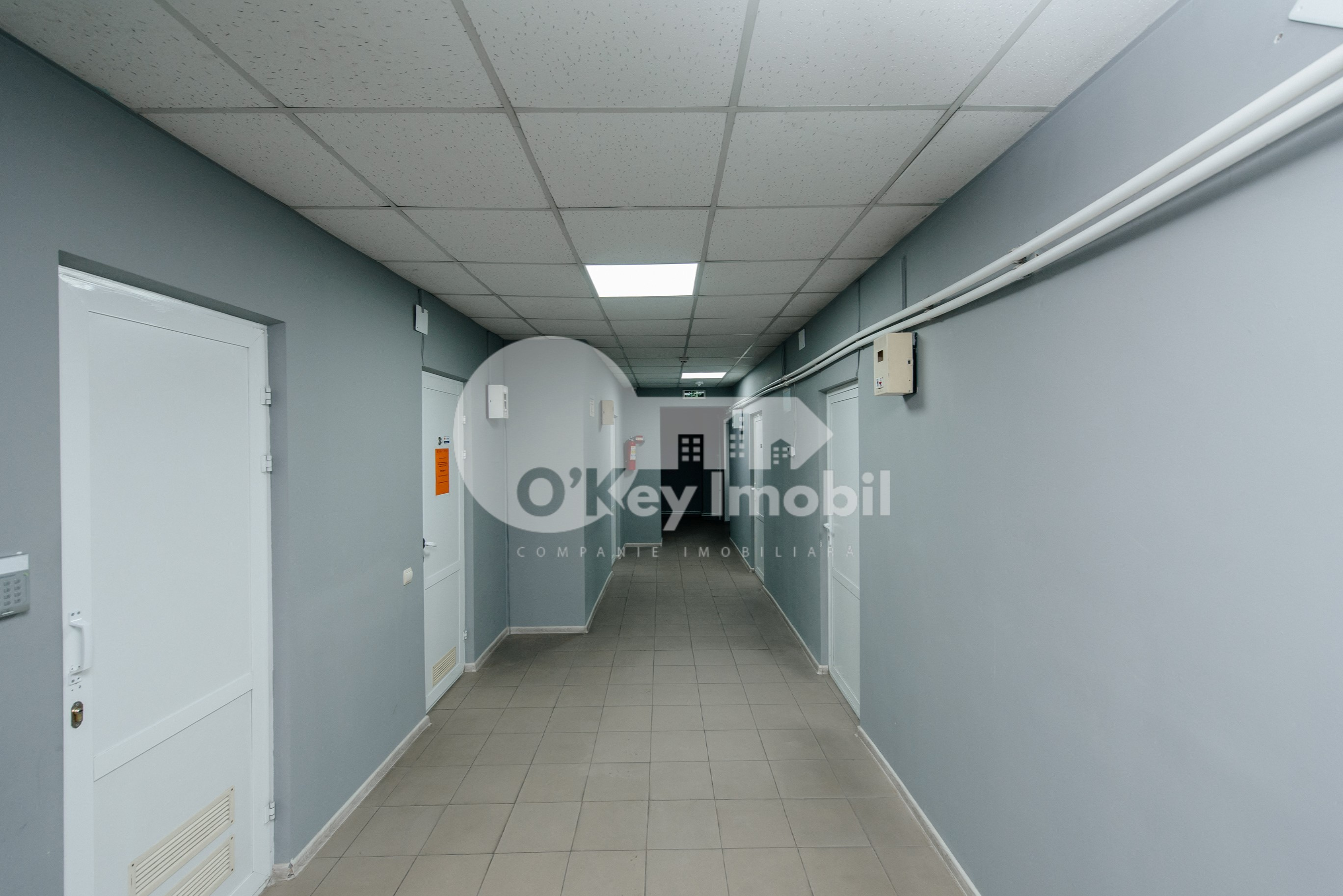 Oficiu, Centru, COLUMNA