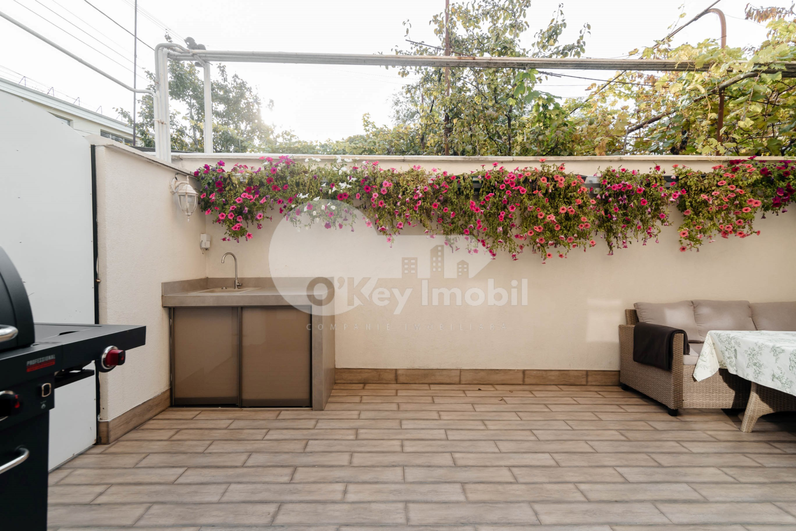 Townhouse, Centru, MELESTIU