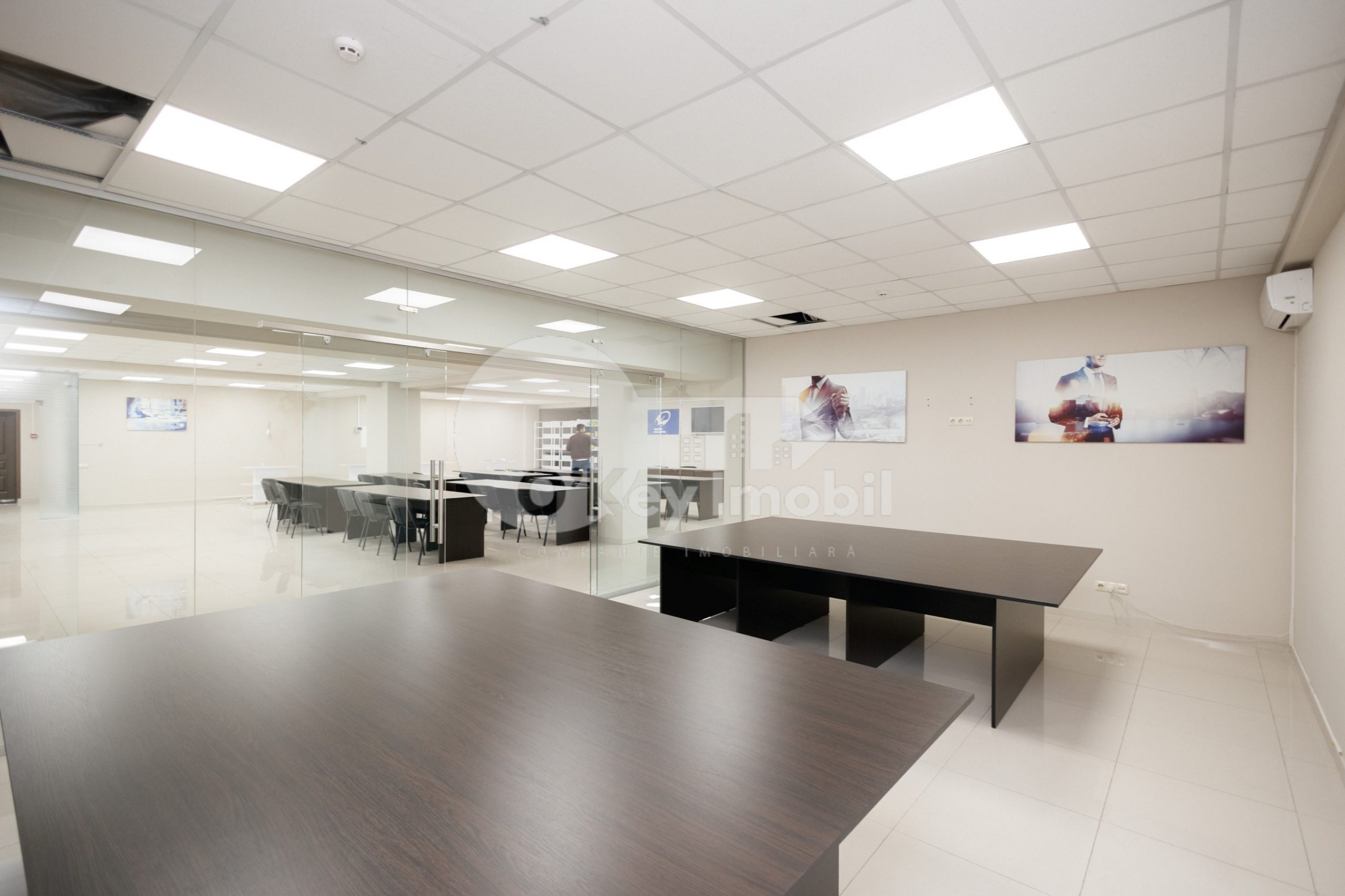 Oficiu, Botanica, DECEBAL