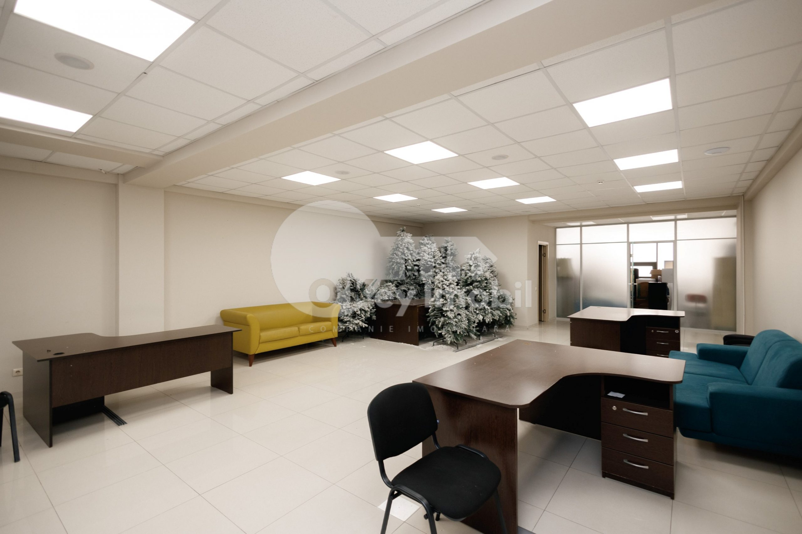 Oficiu, Botanica, DECEBAL