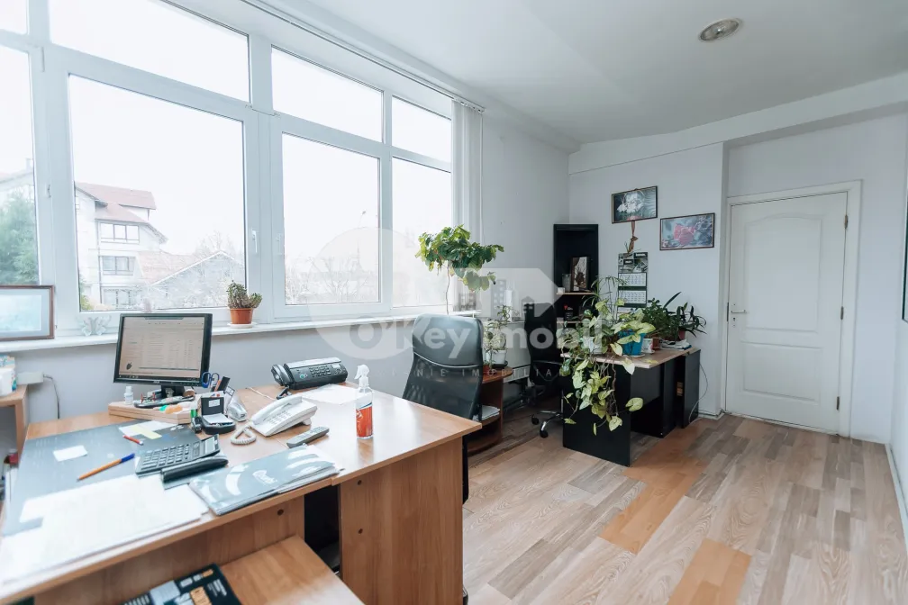 Офис, Ботаника, БУРЕБИСТА