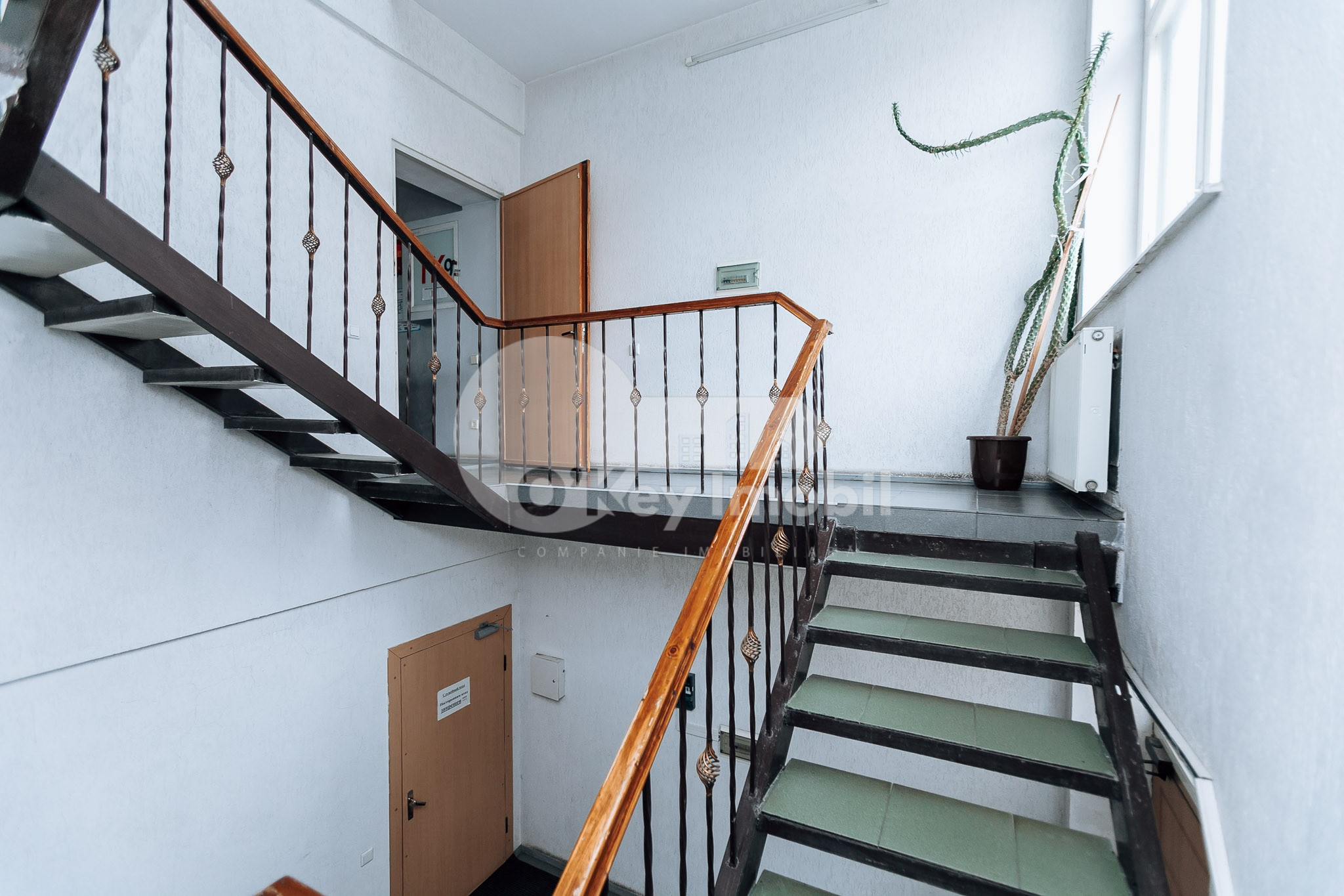 Oficiu, Botanica, BUREBISTA