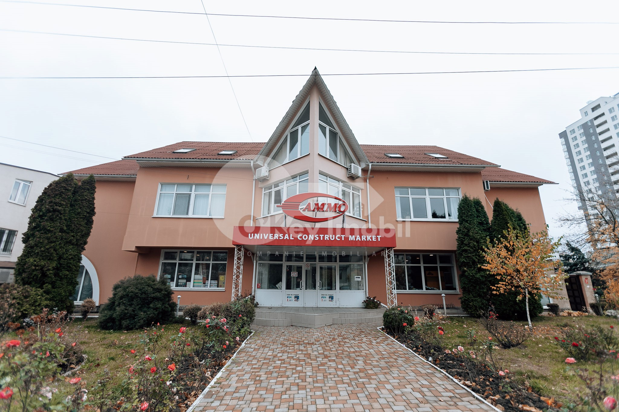 Oficiu, Botanica, BUREBISTA