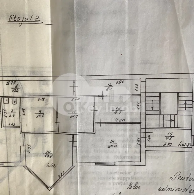 Офис, Ботаника, БУРЕБИСТА