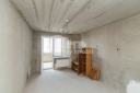 Apartament, Botanica