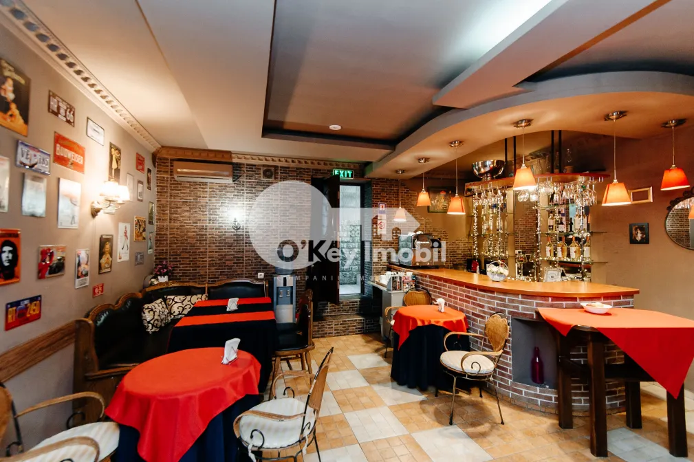 Дом, Центр, ВАСИЛЕ АЛЕКСАНДРИ