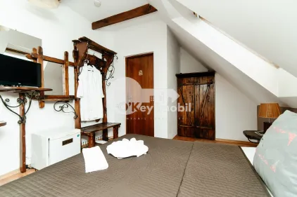 Дом, Центр, ВАСИЛЕ АЛЕКСАНДРИ