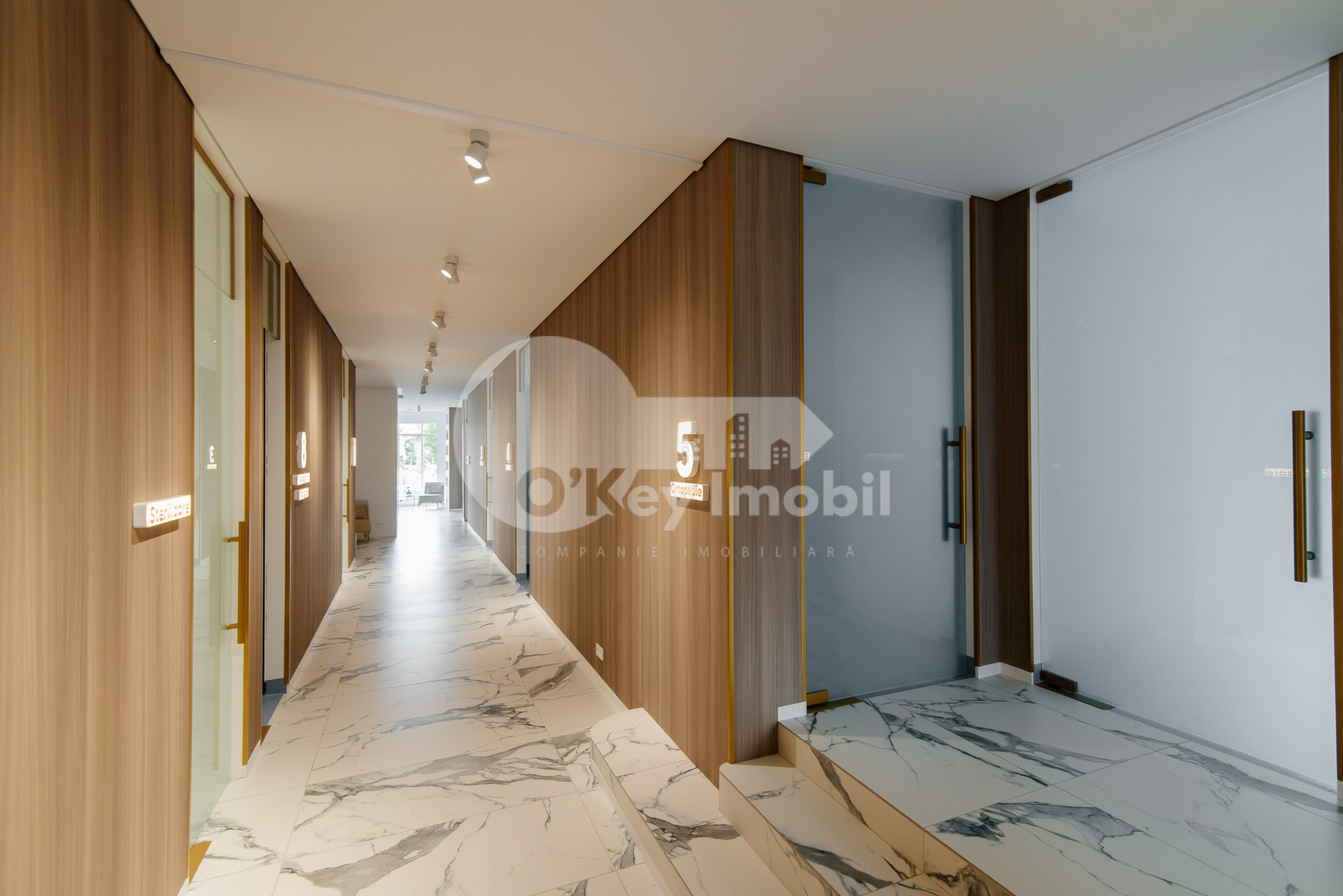 Spațiu comercial, Centru, ION NISTOR