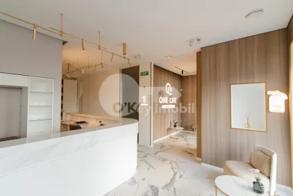 Комм. помещение, Центр, ИОН НИСТОР