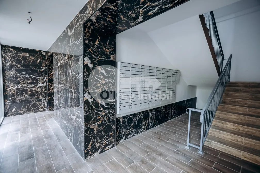 Квартира, Ботаника, БЭЧОИЙ НОЙ