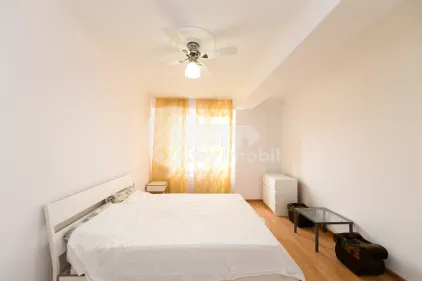 Квартира, Ботаника, ИОН КАСИАН СУРУЧАНУ