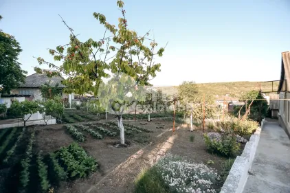 Дом, МИЛЕШТИЙ МИЧЬ