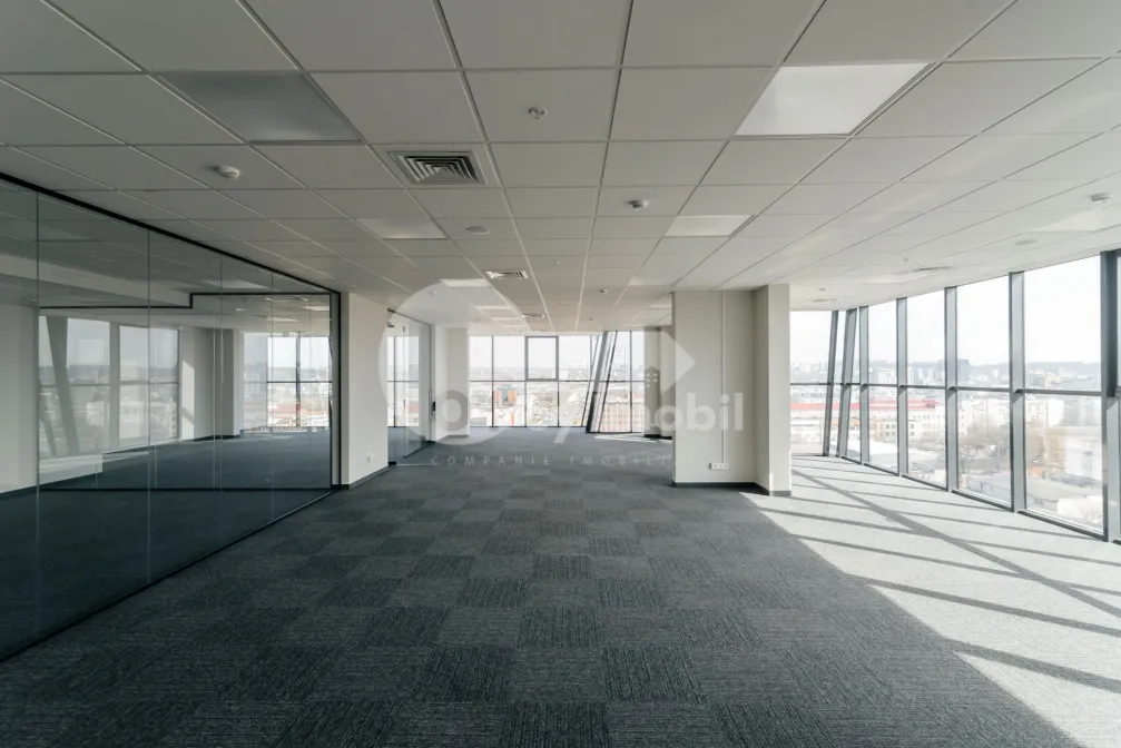 Офис, Центр, МИХАЙ ВИТЯЗУЛ