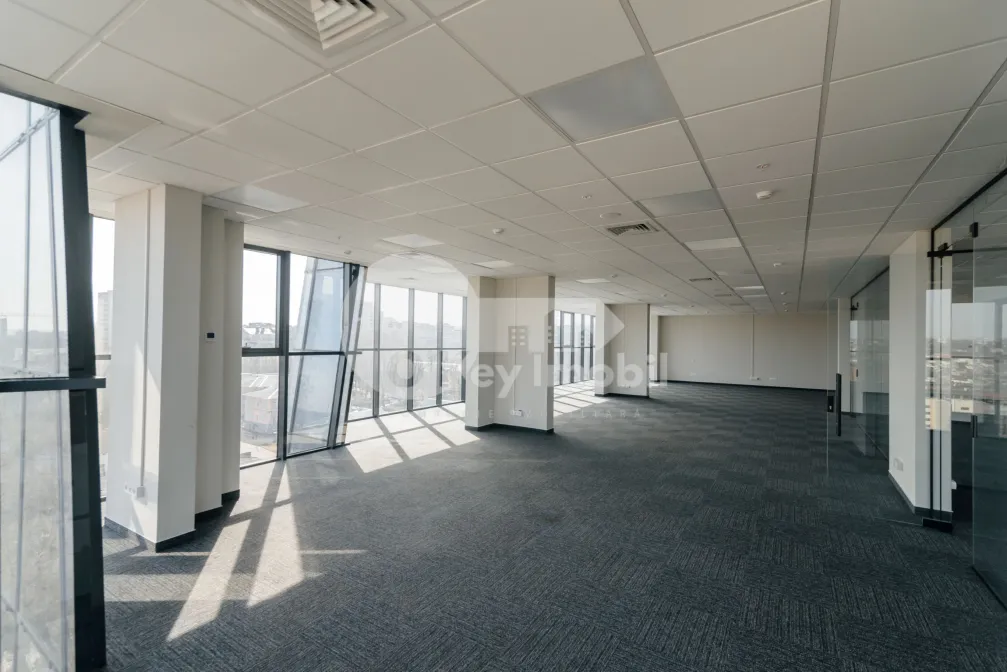 Офис, Центр, МИХАЙ ВИТЯЗУЛ