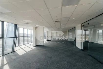 Офис, Центр, МИХАЙ ВИТЯЗУЛ