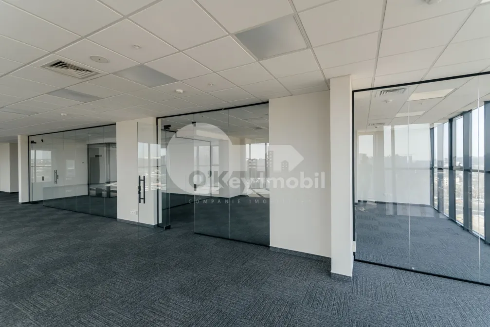 Офис, Центр, МИХАЙ ВИТЯЗУЛ