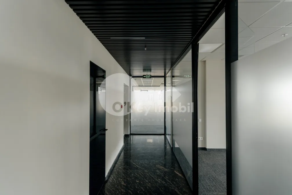 Офис, Центр, МИХАЙ ВИТЯЗУЛ