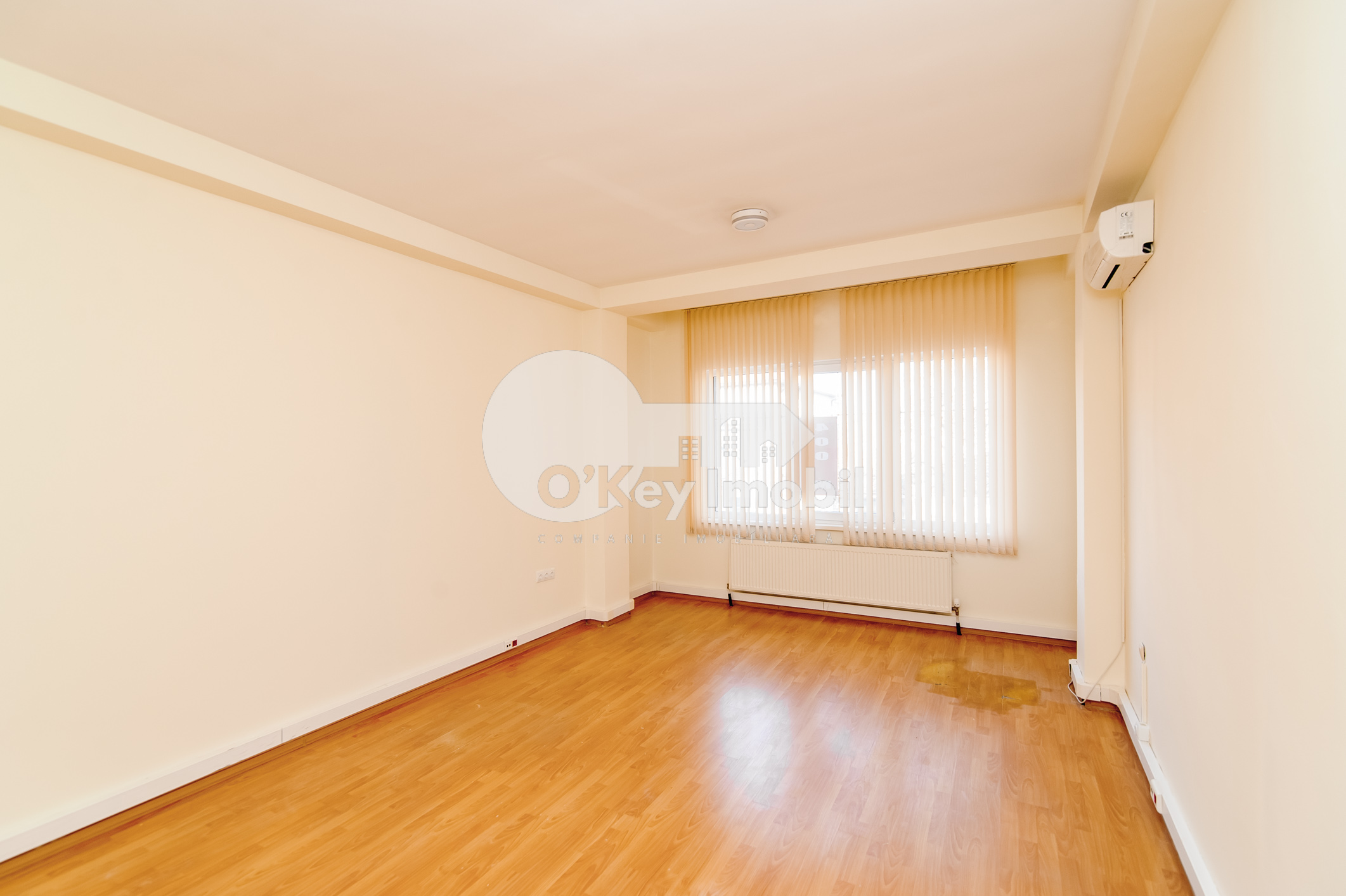 Spațiu comercial, Centru, ALEXEI ȘCIUSEV