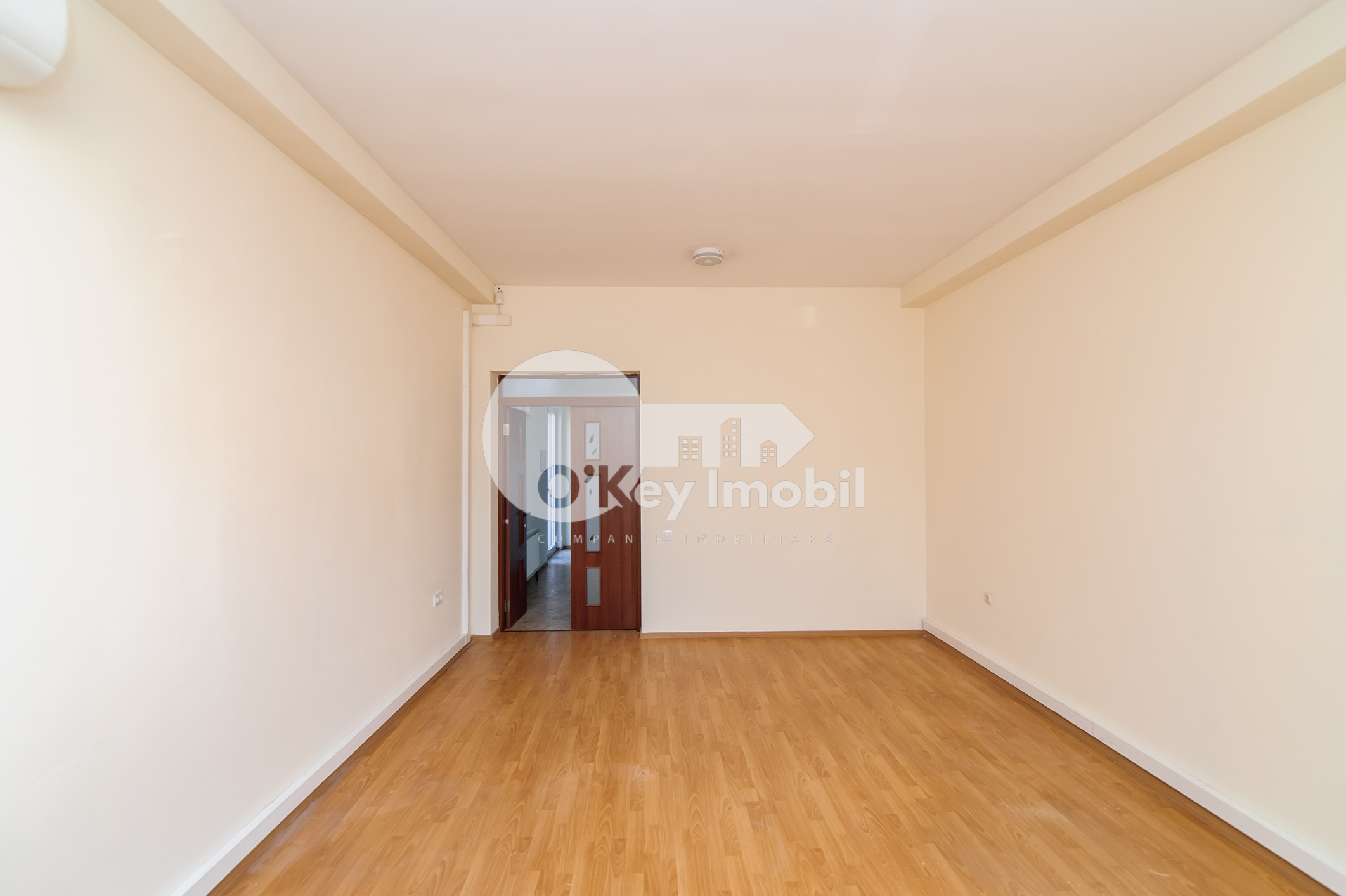 Spațiu comercial, Centru, ALEXEI ȘCIUSEV