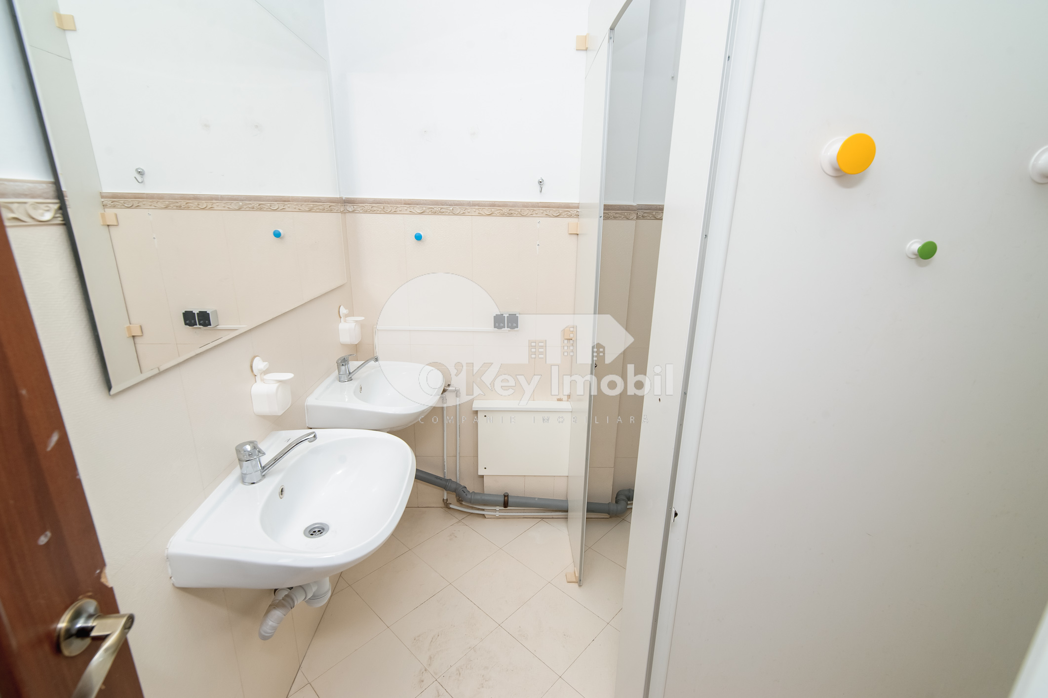 Spațiu comercial, Centru, ALEXEI ȘCIUSEV