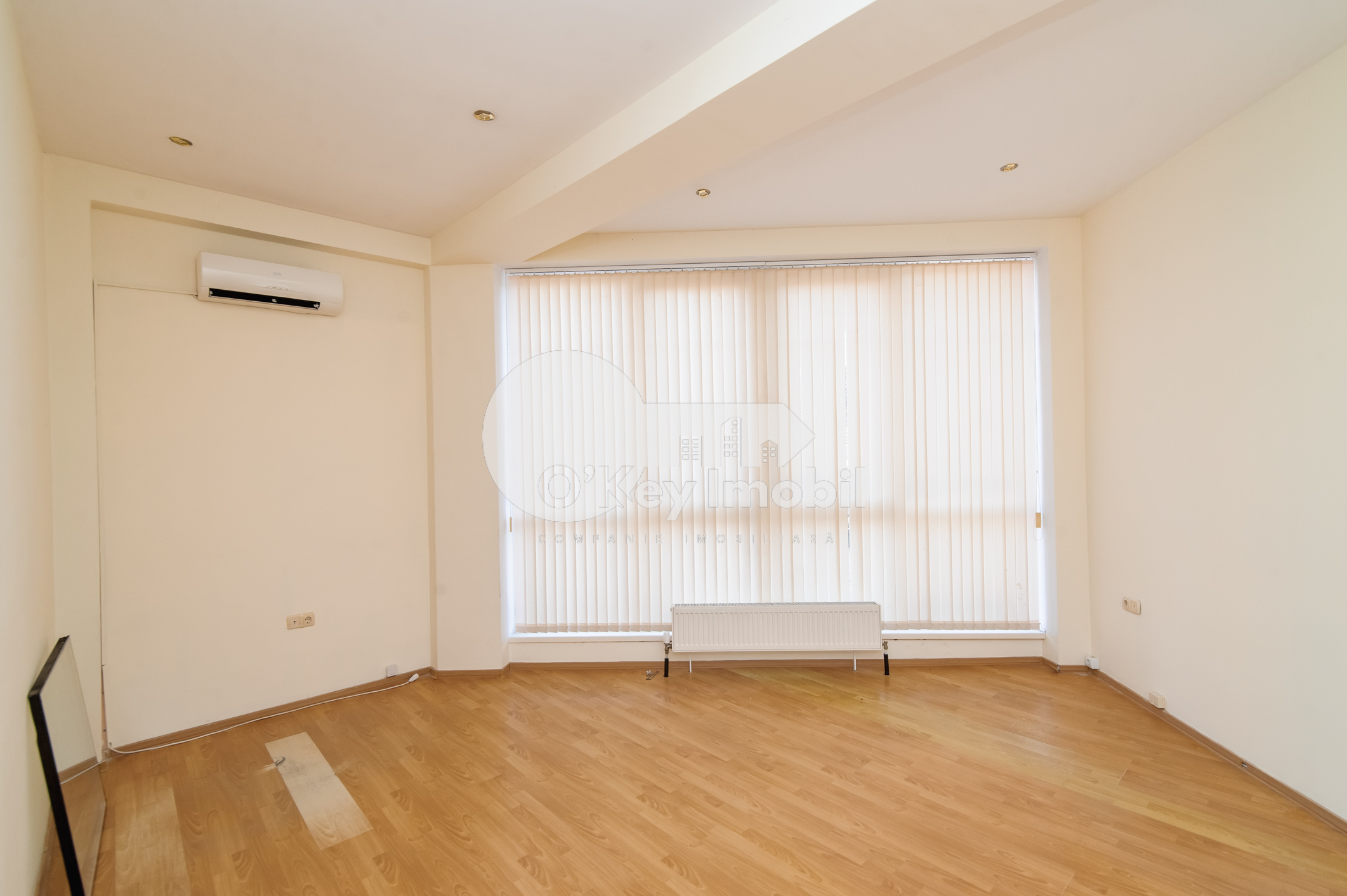 Spațiu comercial, Centru, ALEXEI ȘCIUSEV